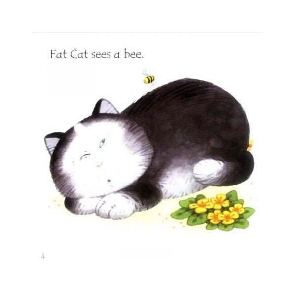 Phonics Readers - Fat cat on a mat and other tales ~ Livre CD – Image 5