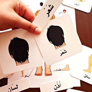 Coffret Montessori arabe : Le corps humain - couplage cartes mémorisation