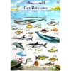 Affiche Les poissons et mammifères - bilingue arabe-français